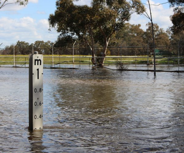 engineers-rebuilding-after-the-nsw-qld-floods